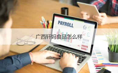 廣西軒媽食品公司概覽 工作時間、發展與計算機軟硬件業務